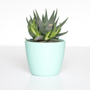 Geometric Planter — Small