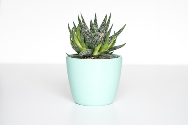 Geometric Planter — Small